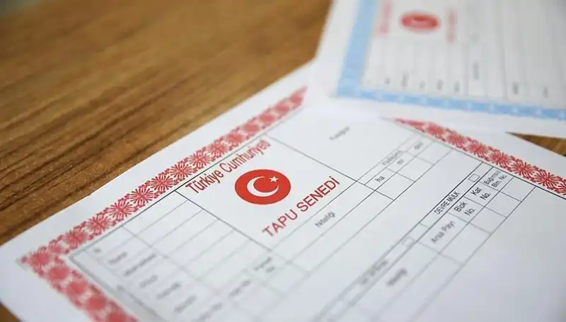 100 Milyonluk Hisseli Tapu Tuzakları: Yalanın Perdesi Aralandı