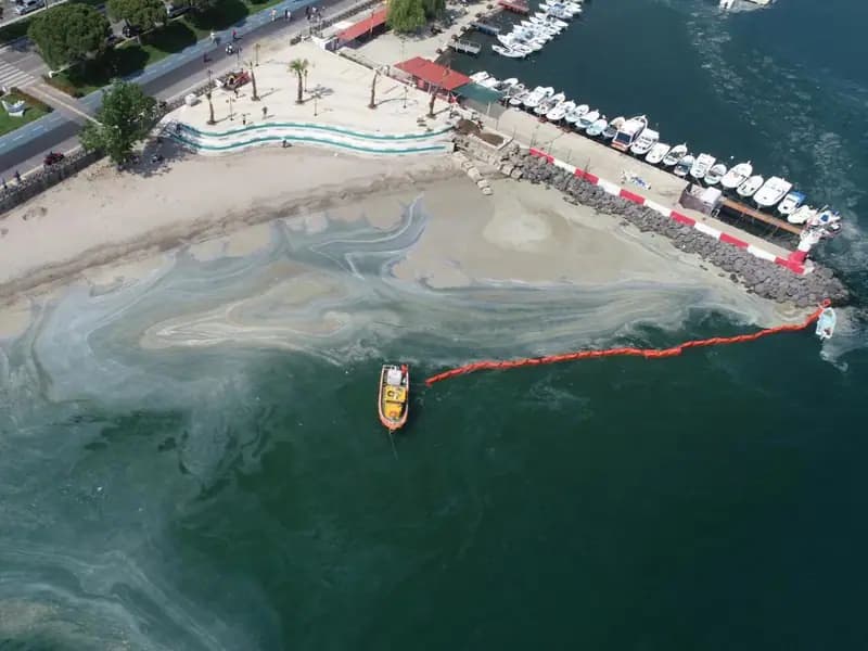 Müsilaj Bilim Kurulu topandı