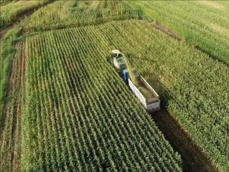 Mazot ve Gübre Desteği Ödemeleri Hakkında Son Durum: 2025'te Neler Olacak?