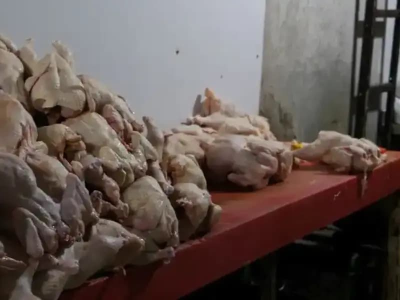Döner İmalathanesinde Şok ve Tüyler Ürperten Görüntüler Ortaya Çıktı