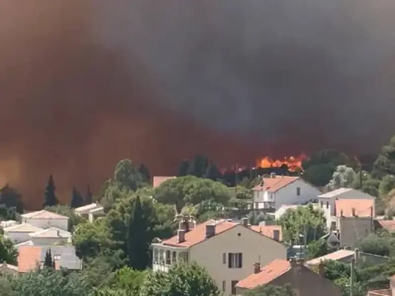 Avrupa'da Orman Yangınları Alarm Veriyor: Doğa ve Ekosistem Tehlikede