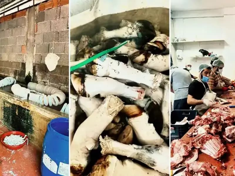 Adana'da Şok Eden Ele Geçirme: Yüzlerce Kilo Paça Sağlık Tehlikesi!