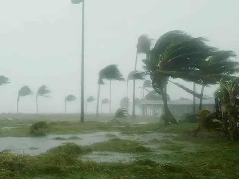 Çin'in Başkenti Pekin'de Kuvvetli Rüzgar Hayatı Olumsuz Etkiledi