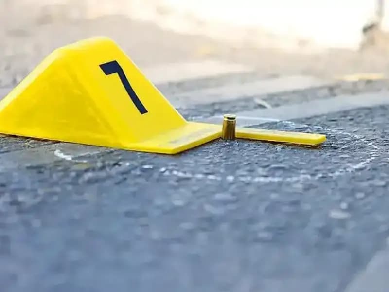 2024'te Yaşamını Yitiren 394 Kadın: Farklı İsimlerin Ortak Kaderi