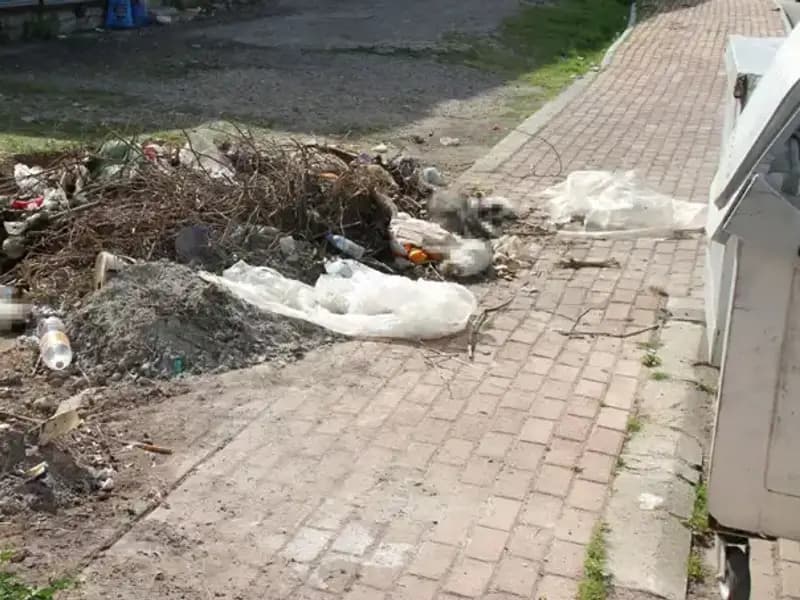 Antalya’da Korkunç Vahşet: 10 Kedi Ölü Bulundu ve İnceleme Başlatıldı