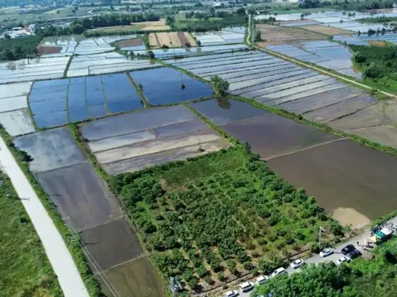 Osmanlı Saray Mutfağının Efsanevi Lezzetleri Yeniden Hayat Buluyor