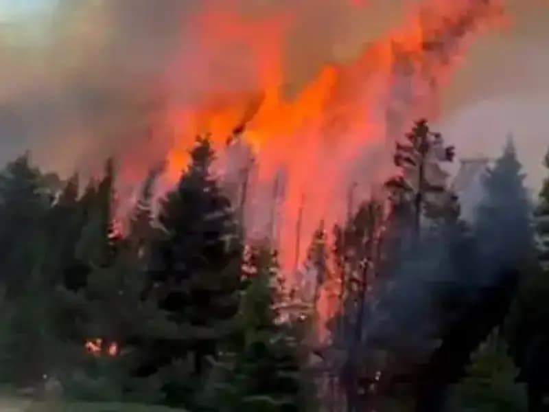 Çankırı’da Orman Yangını: Ekipler Hızla Müdahale Ediyor