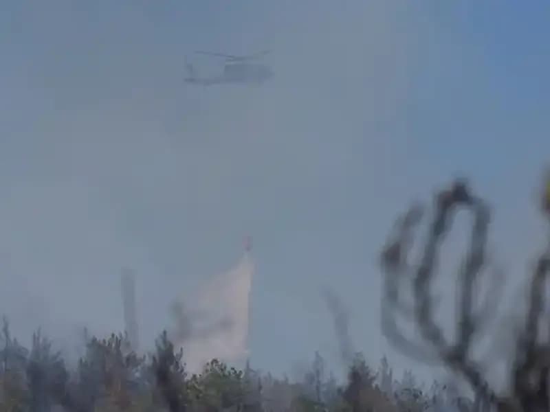 Ankara'da Büyüyen Orman Yangını: Dumanlar Şehri Sardı