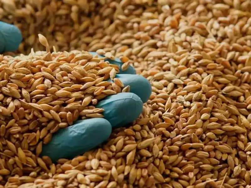 Kalp Hastalığı Riskini Azaltan Beslenme: Uzman Tavsiyeleri