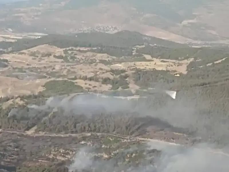 İzmir’deki Dumanlı Hava Çizgileri: Orman Yangını Kontrol Altına Alındı