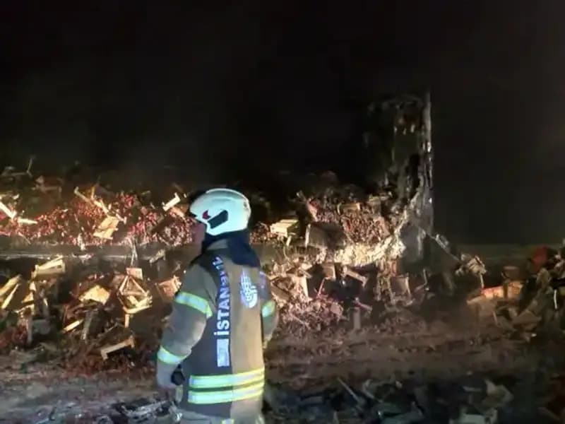 Çilek Yüklü TIR’da Yangın: 6 Ton Meyve Alev Alev Yandı, Şok Edici Görüntüler!