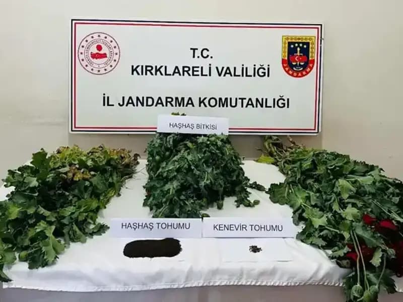 Kırklareli'nde Dev Uyuşturucu Operasyonu: 8 Gözaltı