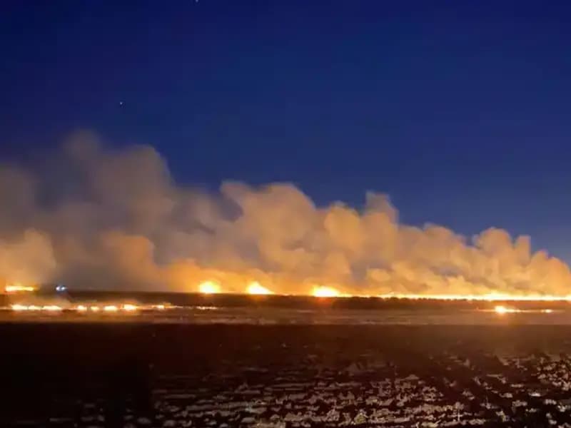 Tarım Arazisinde Anız Yangını: 60 Dönüm Alaçatı'nın Külleriyle Dolu