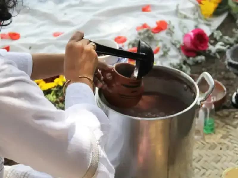 Ayahuasca: Gizemli Şifalı İçimlerin Sırları ve Yasal Durumu