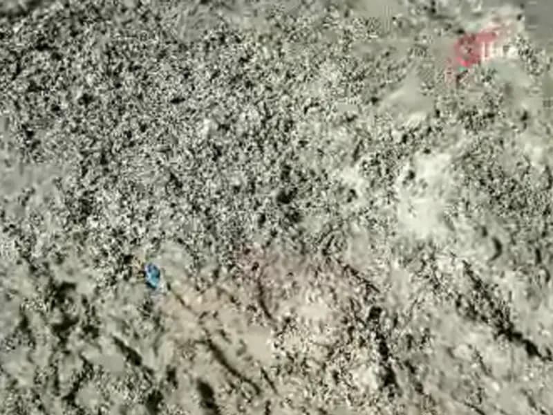 İstanbul'da Şok Edici Cinayet: Kayıp Çinli İş İnsanı Toprağa Gömülü Bulundu