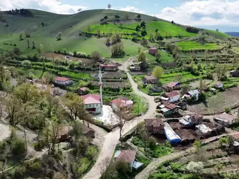 Türkiye'deki Bu Mahallede Doğuşlar Hayatı Değiştiriyor: Çoğu Çocuk Sağır ve Dilsiz
