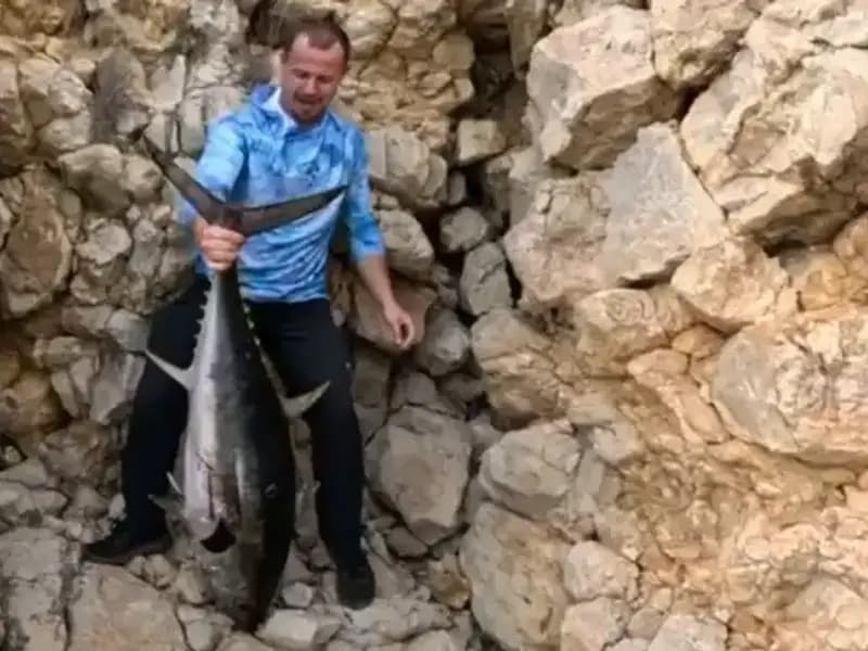 Saros Koyu'nda 30 Kiloluk Dev Balık! Balıkçıların Mücadelesi Dikkat Çekti