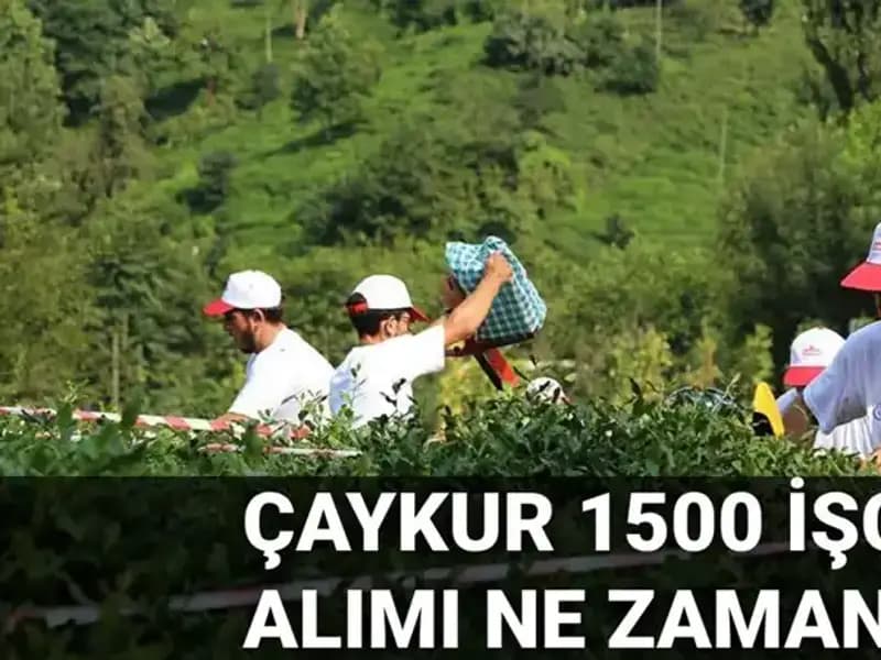Çaykur İşçi Alımı Başvuru Tarihleri Belirlendi! Fırsatlar Kaçırılmamalı