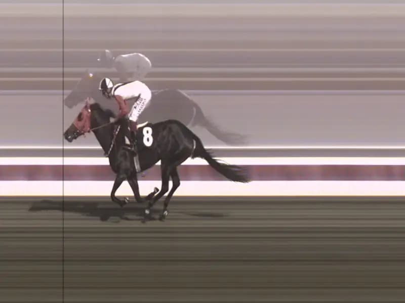 Mersin'de Kavurmada Bulunan At Eti: İngiliz Yarış Atı "Smart Latch"