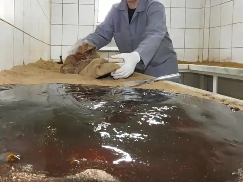 485 Yıldır Yapılan İnanılmaz Gelenek: 41 Çeşit Baharatın Duası 25 Nisan'da