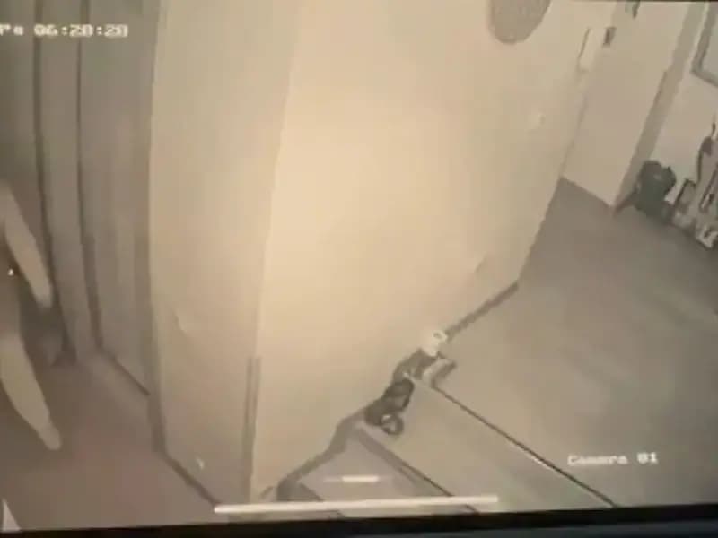 Sultan Vahdettin'in Torunundan 11 Milyonluk Soygun: Olayın Ardındaki Gerçekler