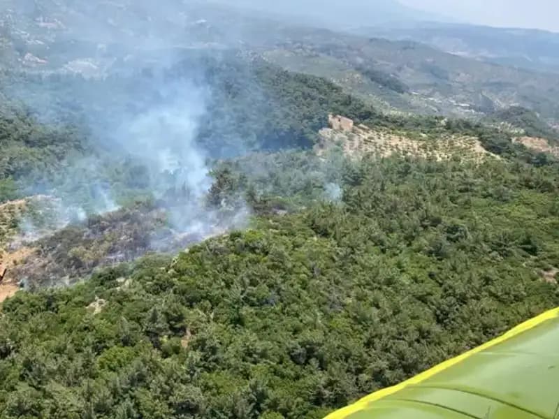 Aydın'da Korkutan Orman Yangını: Ekipler Seferber Olmuştu