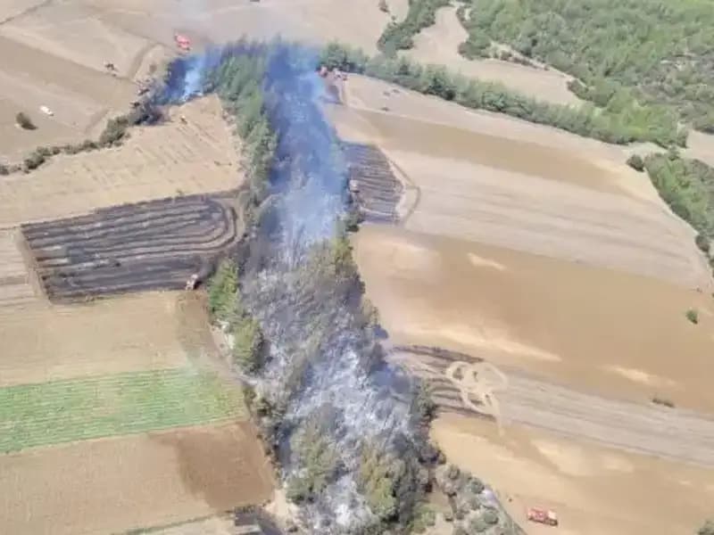 Adana Orman Yangını: Yangınla Mücadelede Son Durum ve Etkileri