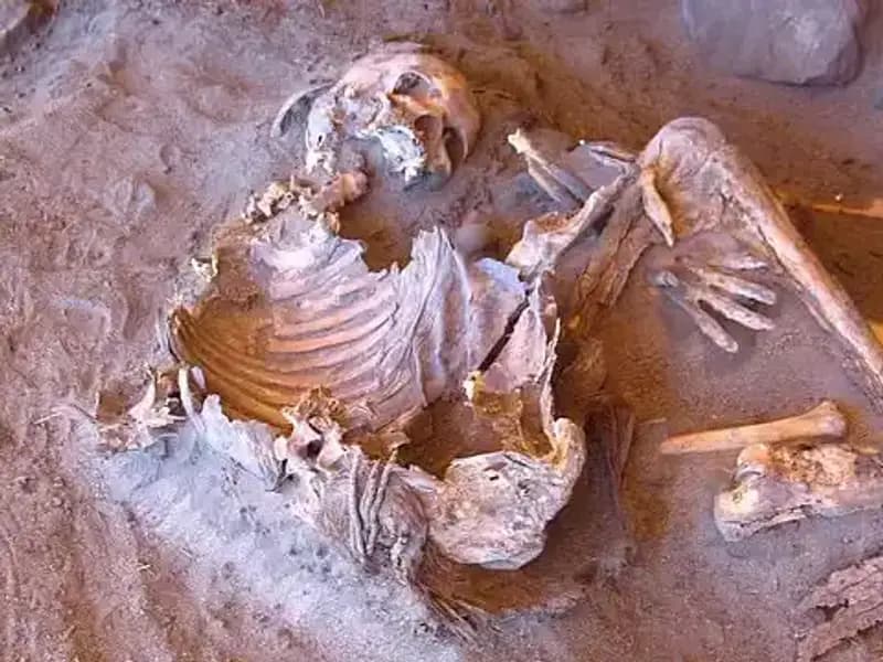 Yeni Mumya Keşfi, İnsanlık Tarihine Işık Tutuyor ve Soy Ağacını Sarsıyor