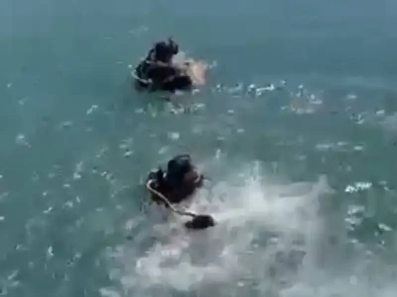 Kanala Düşen Telefon için Görev, Hayatı Korkunç Sonuçlandı