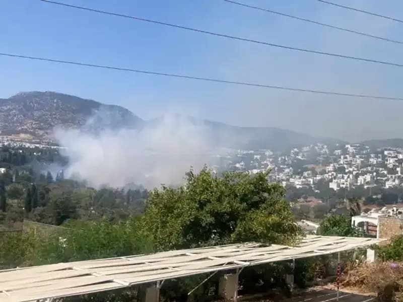 Muğla'daki Orman Yangınları Kontrol Altına Alındı: Ekipler Seferber Oldu