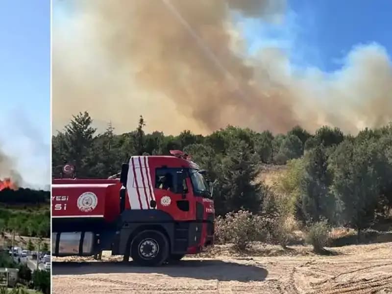 Gebze'de Korkutan Orman Yangını: Ekipler Seferber Oldu