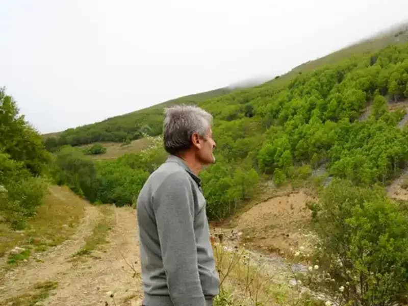 Gümüşhane’de Emekli İmamdan Çevreci Proje: 50 Bin Ağaç Fidanı