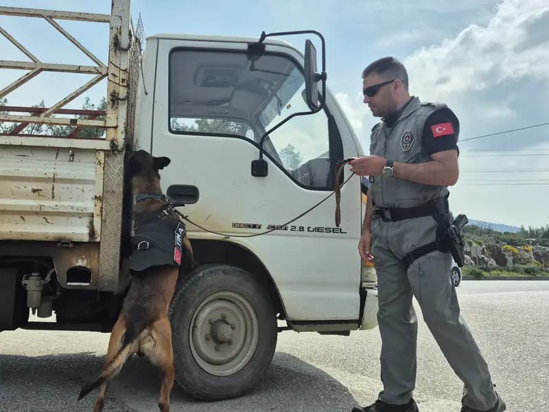 Bodrum'a Ramazan Bayramı Öncesi 25 Bin Araç Girişi