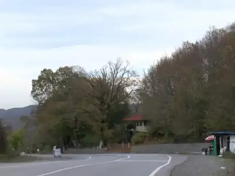 İstanbul Şile'de 21 Mahalleye Şap Hastalığı Nedeniyle Karantina Uygulaması Başlatıldı