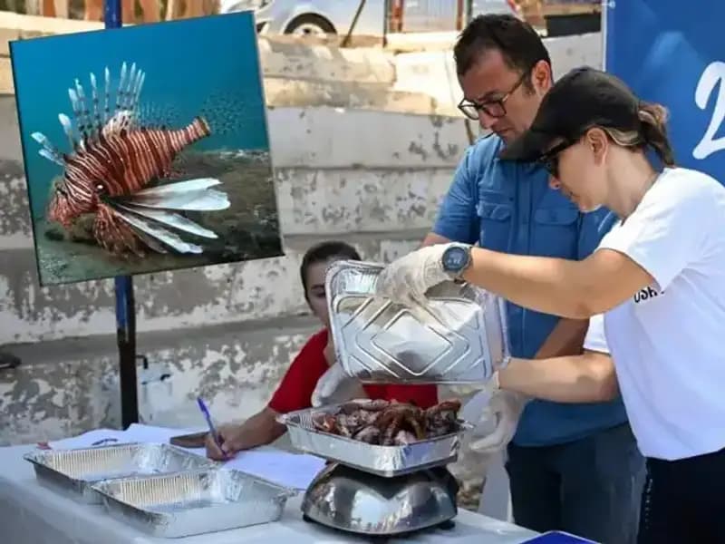 Antalya'da Heyecan Verici İstila: Aslan Balığı Avlama Yarışması
