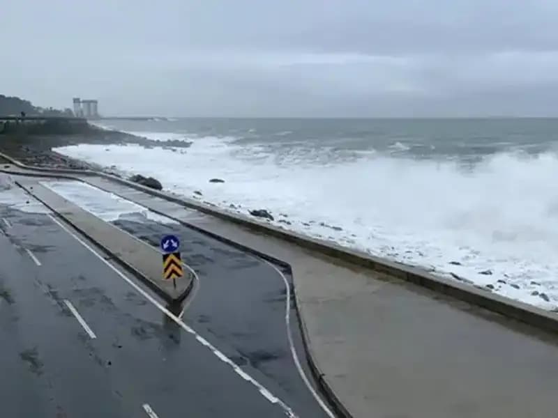 Trabzon’da Denize Girmek Yasaklandı: Suyun Gizli Tehlikesi Ne?