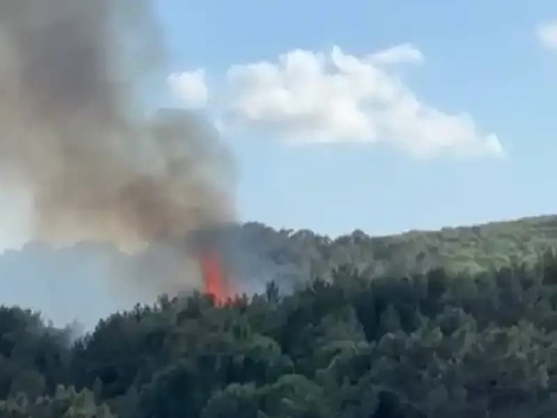 Aydos Ormanı'ndaki Yangın Kontrol Altına Alındı: Doğa Yeniden Canlanacak