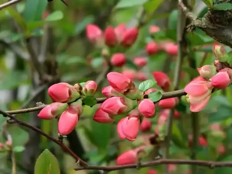 Nisan Ayının Gelişiyle Birlikte Paylaşabileceğiniz En Güzel Mesajlar