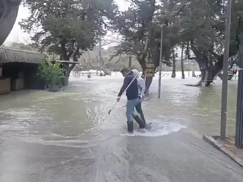 Manavgat Irmağı'nda Sel Felaketi: İşletmeler Su İçinde Kaldı