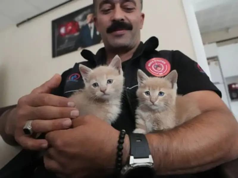 İtfaiye Şoförü Sahiplendi! İsimleri Duman ve Alev Oldu