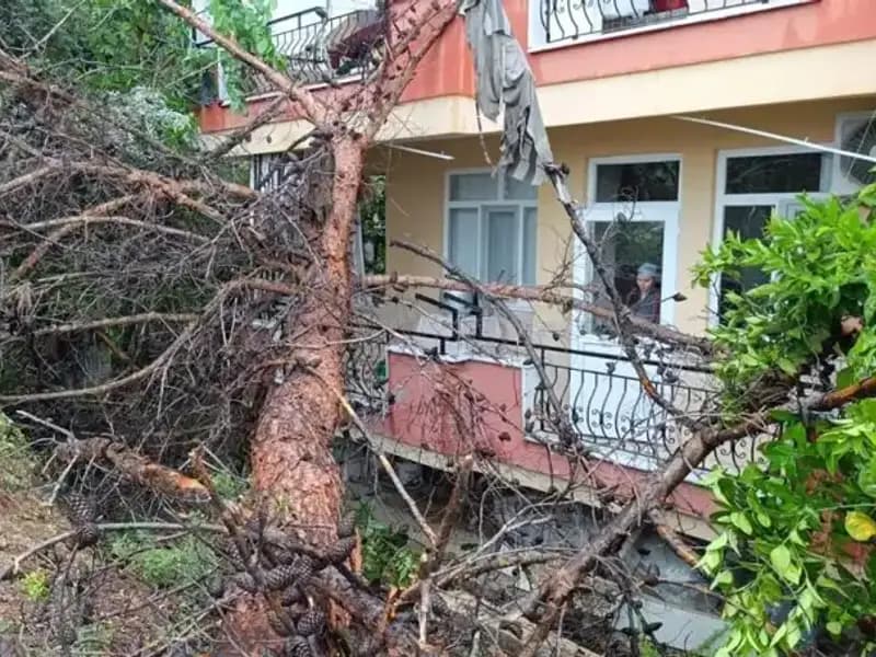 Yağmurun Gücü: Bir Bina Korkunç Bir Şekilde Devrildi