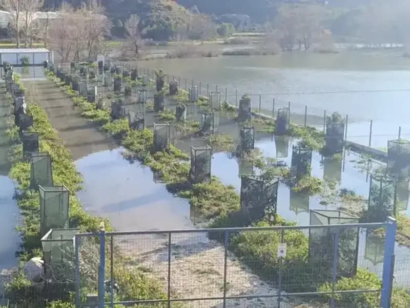 Irmak Taştı, Otoyol Şantiyesi Sular Altında Kaldı: Haftanın En Büyük Doğal Afeti