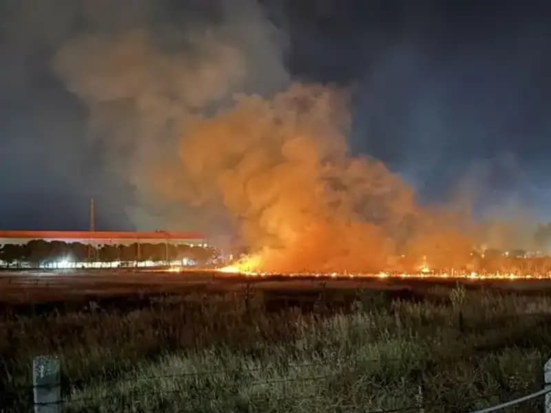 İzmir'de Gece Yarısı Ortaya Çıkan Yangın Panik Yarattı