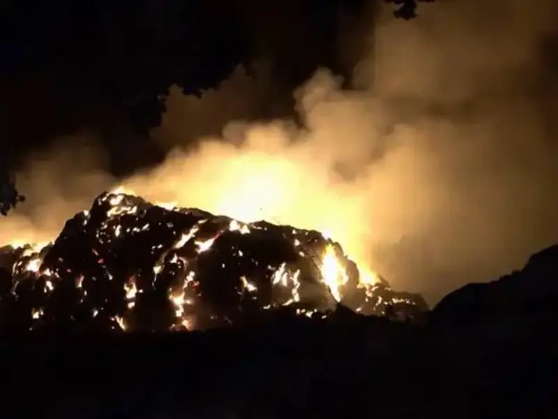 İspanya'da Orman Yangınları: Kriz Büyüyor, Son Durum Korkutucu