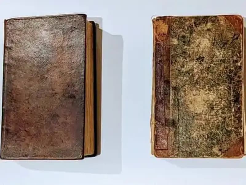 200 Yıllık Gizem Ortaya Çıktı: Katilin Derisiyle Yapılmış Kitap Müzede Sergileniyor