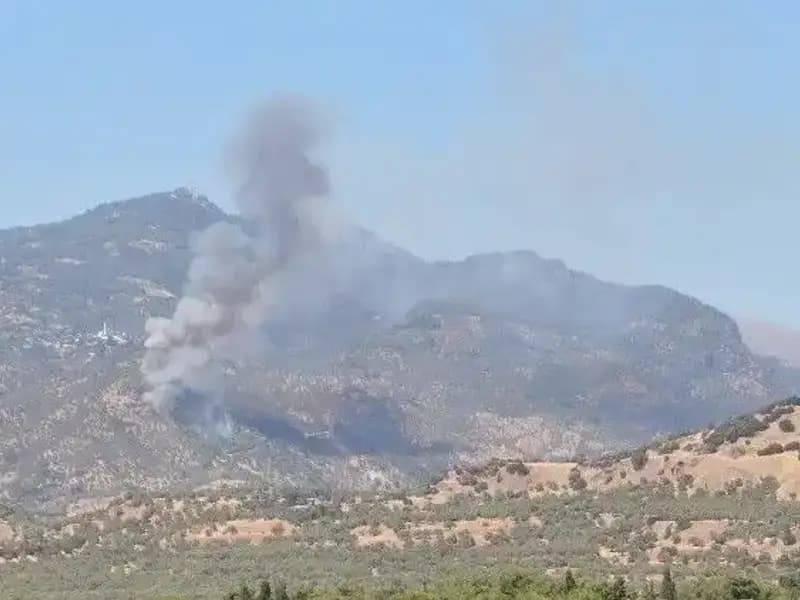 Aydın'daki Zeytinlik Yangınına Müdahale Sürüyor: Ekipler Alevlere Karşı Seferber Oldu