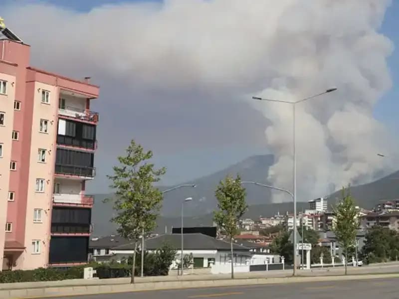 Denizli'de Orman Yangını: Şüpheli Gözaltında, Detaylar Belirsiz!