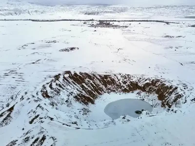 Güneşe Göre Renk Değiştiren Bitki Dondurucu Soğuklara Dayanamadı