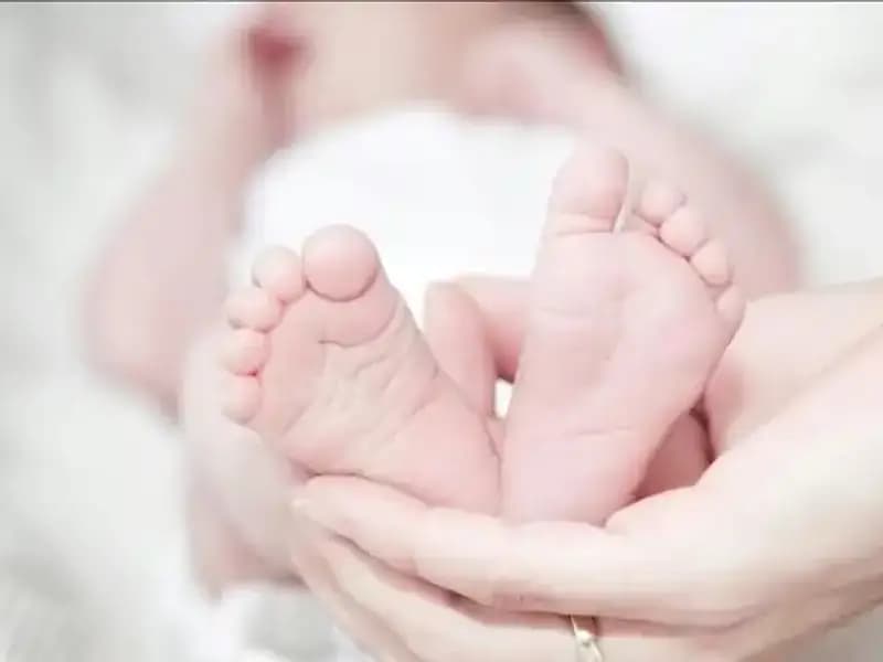 Türkiye'nin Geleceğini Şekillendiren Yenilikçi Tarım Uygulamaları