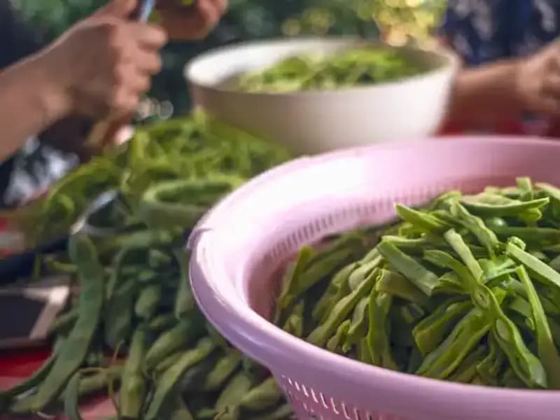 İstanbul’da Taze Fasulye Fiyatları Uçuşa Geçti: Sebep Ne?